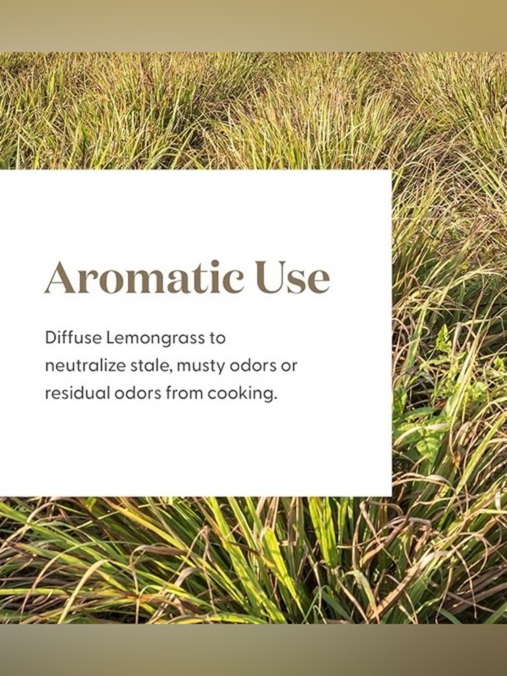Young Living Lemongrass Essential Oil - Brand New Sealed Unopened 15 ml bottle - Picture 8 of 8